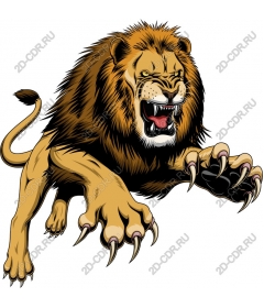  Ferocious lion