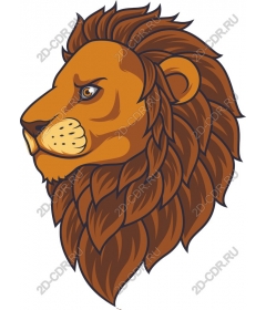 Majestic lion