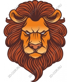  A majestic lion's head