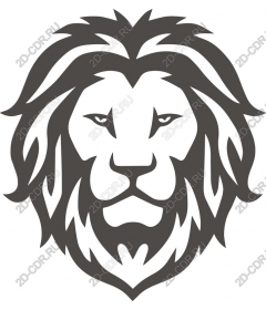  A majestic lion's head