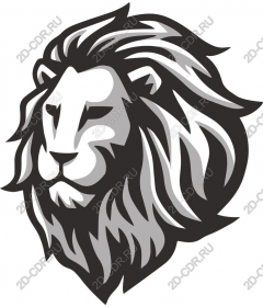  A majestic lion's head