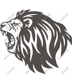  Roaring lion