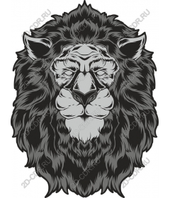  A majestic lion's head
