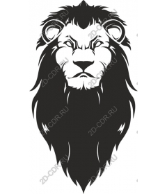  A majestic lion's head