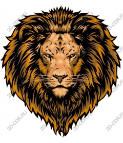 Magnificent illumination of a lion's head