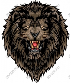  Ferocious lion head