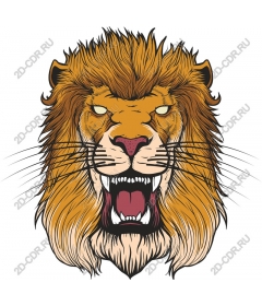  Ferocious lion head