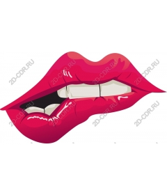  Juicy pink lips