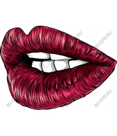  Luxury ruby red lips