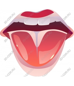  Bright, open mouth with tongue