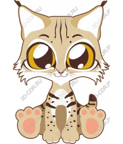  Cute cat