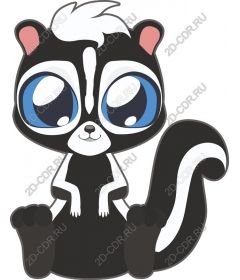  Cute skunk