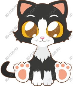  Adorable cartoon cat