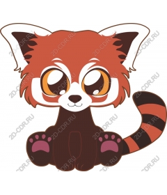  Adorable red Panda
