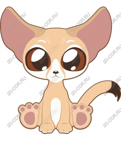  Adorable Fox Fenech