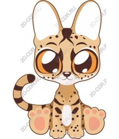  Adorable kitten