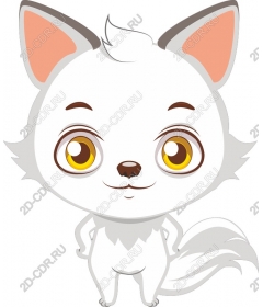  Cute cartoon cat