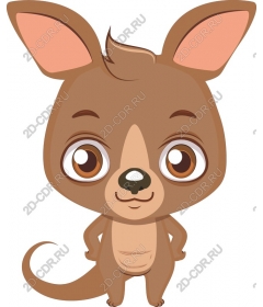  Cute kangaroo