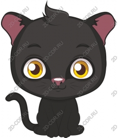  Cute black cat