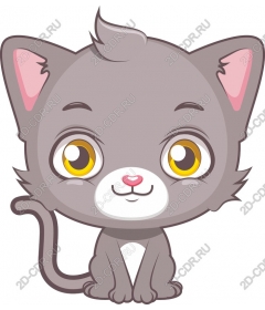  Charming grey cat