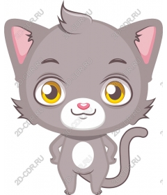 Playful grey cat
