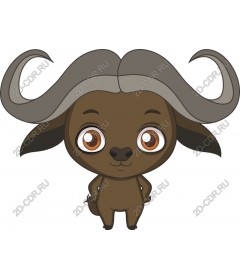  Charming Buffalo