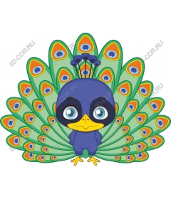  Drawing peacock cartoon