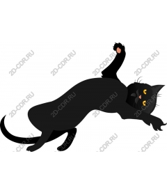  Игривый черный кот