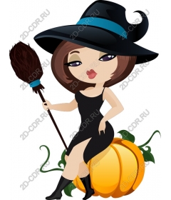 The enchanted Witch on a Pumpkin