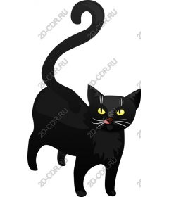 Black Cat