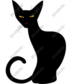  Black cat - Elegant