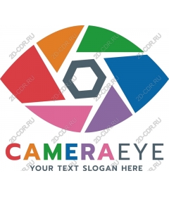  Camera-eye