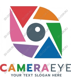  Camera-eye