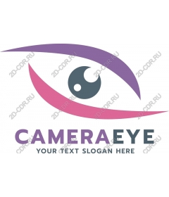  Camera-eye