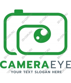  Camera-eye
