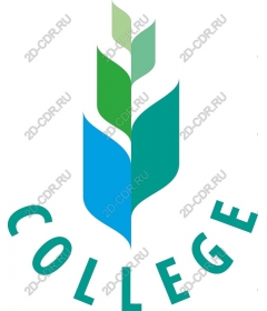 The dynamic growth of the College