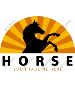 Dynamic Horse