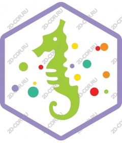  Colourful seahorse