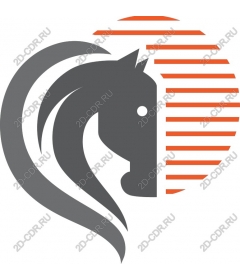  Elegant Horse