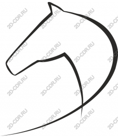  Elegant Horse Head