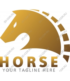  Elegant Horse