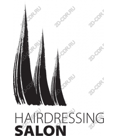  Elegant hair salon