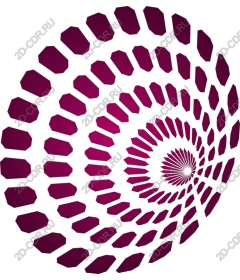  Elegant Spiral
