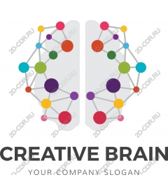  Creative brain