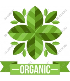 Icon of organic leaf