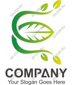  Eco-friendly sheet