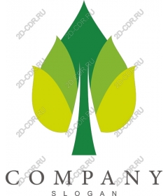  Eco-friendly wood