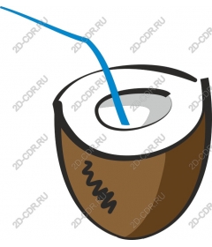  Tropical coconut with a straw