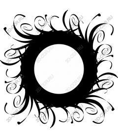 Elegant spiral frame