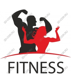 Dynamic fitness